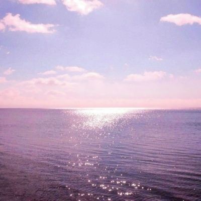 半岛·综合下载手机版